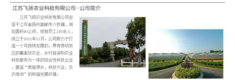 博鱼·体育